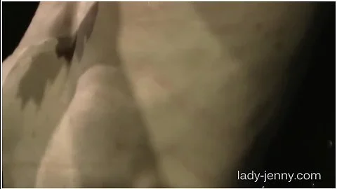 Ladyjenny - Whip, Needles And Electro 3-2