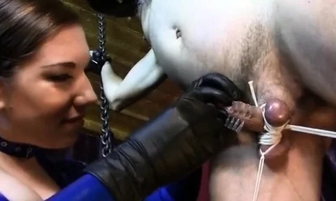 Cybill Troy - Needle Dick