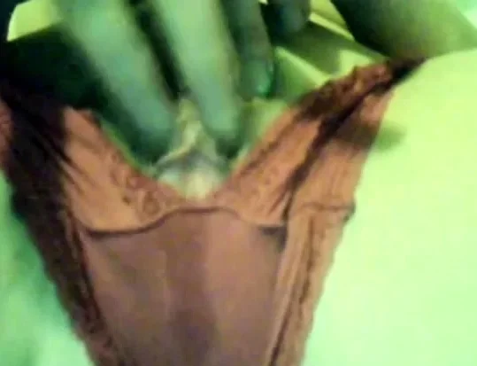 pantie