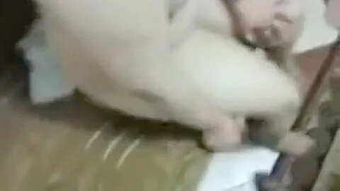 سيكس عربي احلى نيكsexe