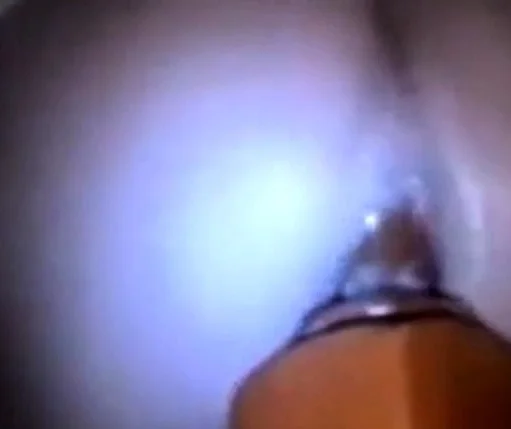 Anal Fun