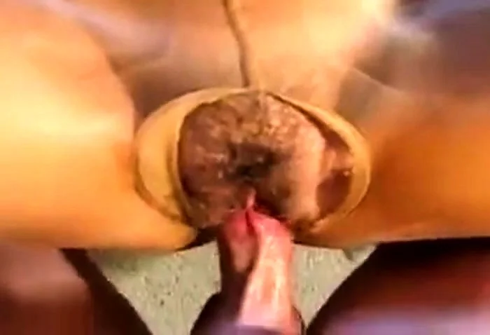 More Pantyhose sex