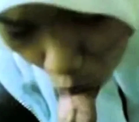 Gadis Jilbab Putih