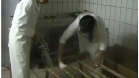 Metzgerinnen im schlachthaus