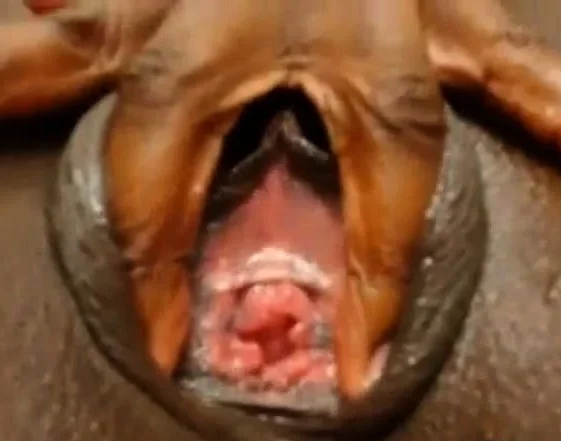 Ebony close up on cam