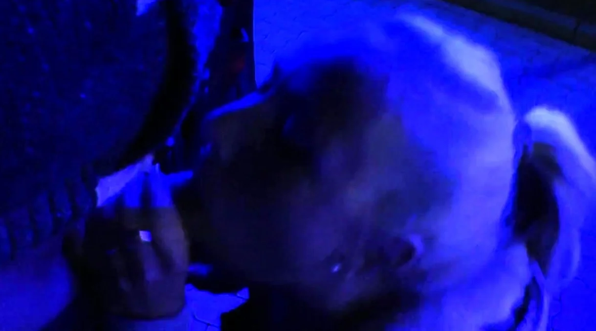 Amateur slut facialed in blowjob group and swallows