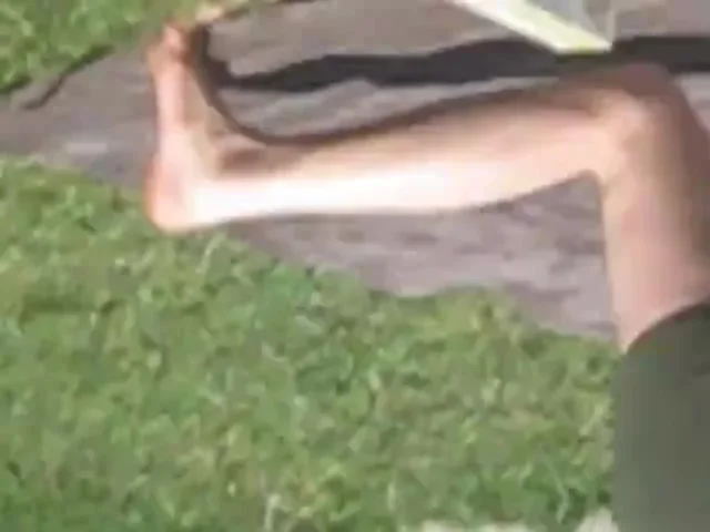 my nextdoor neibor sun tanning