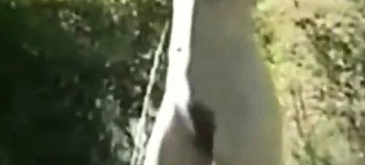 Public Nudity Flashing