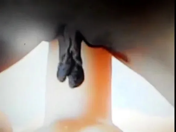 Lange Pussylips
