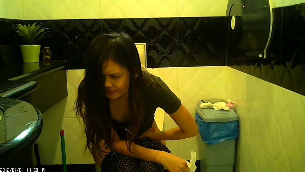Asian Toilet