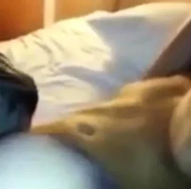 Blonde Girl Shared Husband's Friend