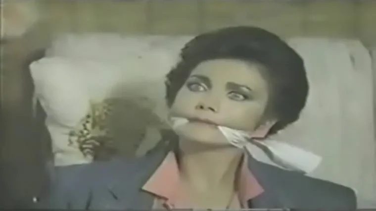 Loni Anderson Partners in Crime 1985