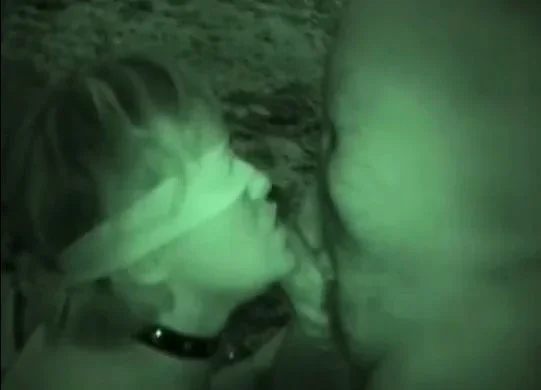 pipe dans les bois