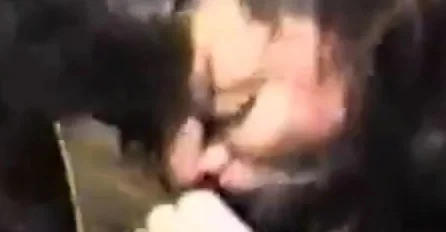 Watch Me Suck My BBc ..... Dear