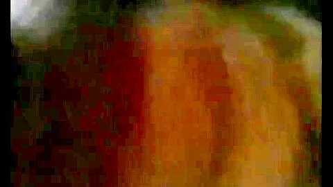 Sri Lanka Girl Bath Sex