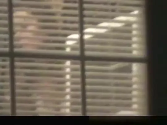 Window Peep