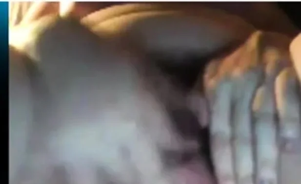 Skype - nice hairy chubby pussy