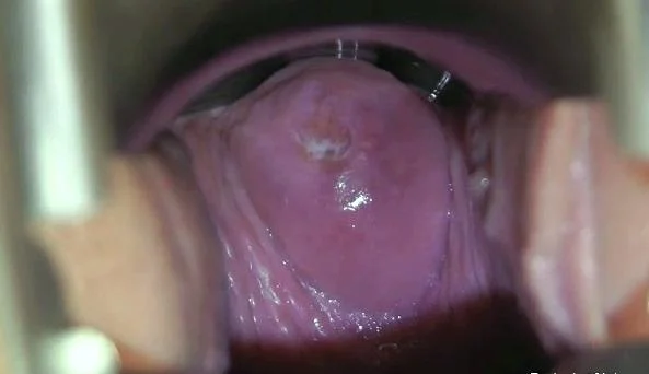 Tarya King video