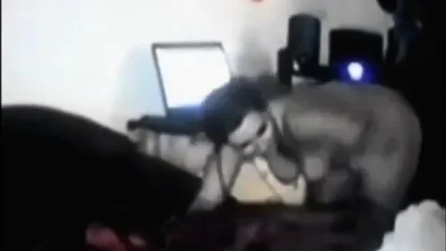 BBW Fucking Her Black Bull on Webcam