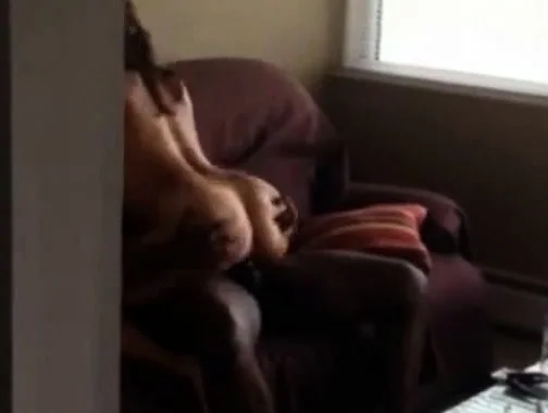 You are a fucking cheating bitch - Interracial