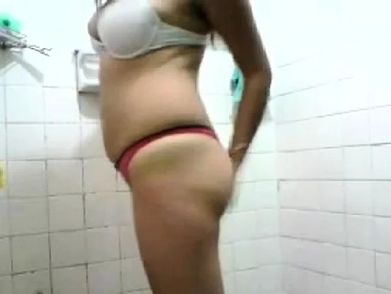 zorrita en la webcams 1