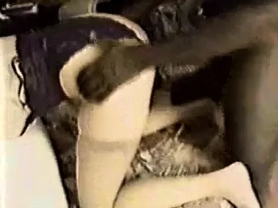 Wife cuckolds husband
