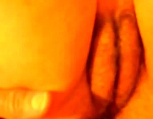 ass fucking and looking at girl's hairy puffy pussy