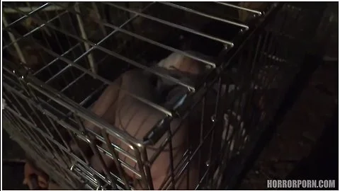 HORROR PORN: The Girl in The Cage