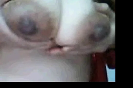 Chinese Lili got big tits