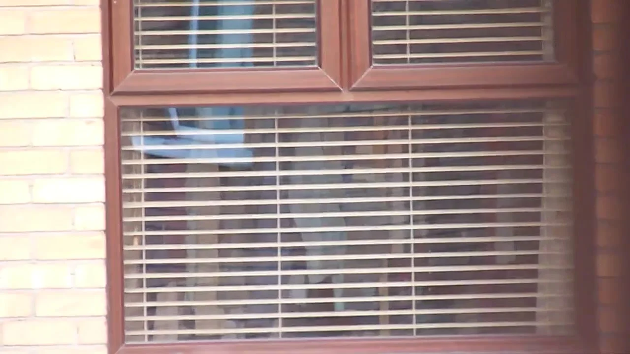 neighbour 2