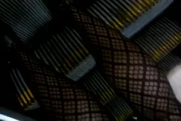 quick upskirt