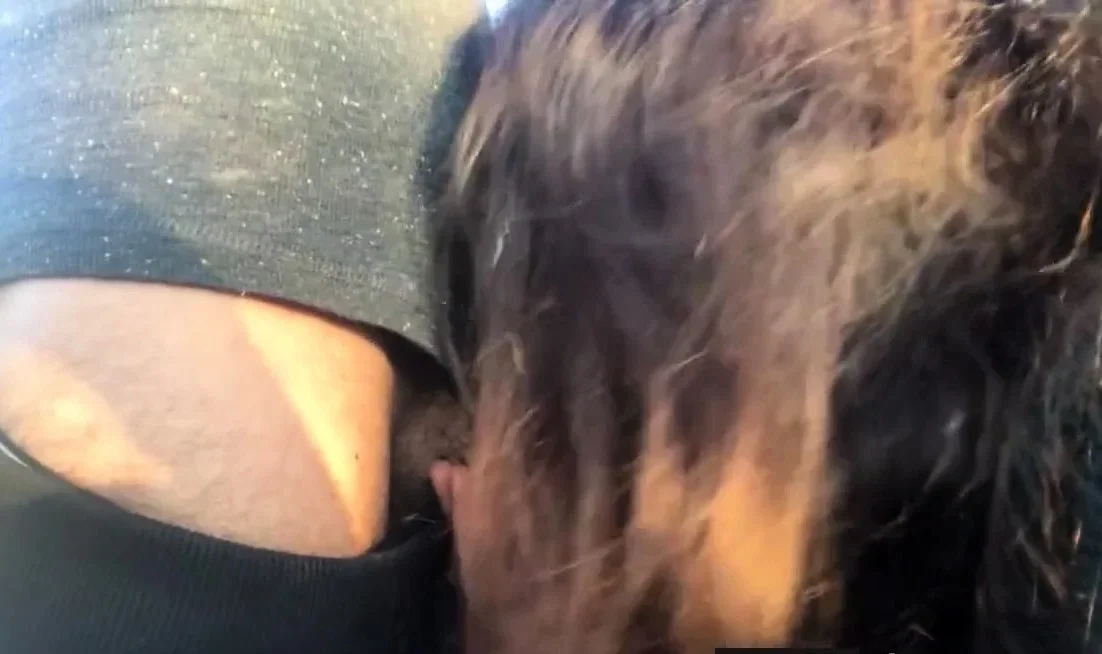 Beauty sucks cock in the car. Pulsating cum mouth. Ocp