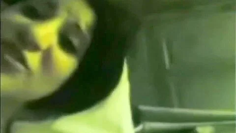 شرموطة مصرية تمص زبر عشيقها وتتناك