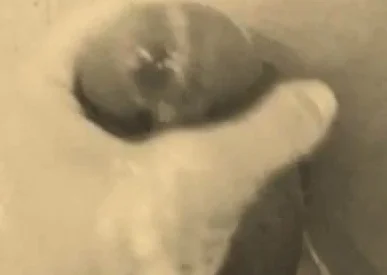 homemade gloryhole handjob with big cumshot