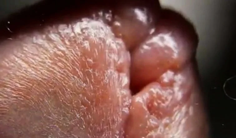macro close up cumming on glass