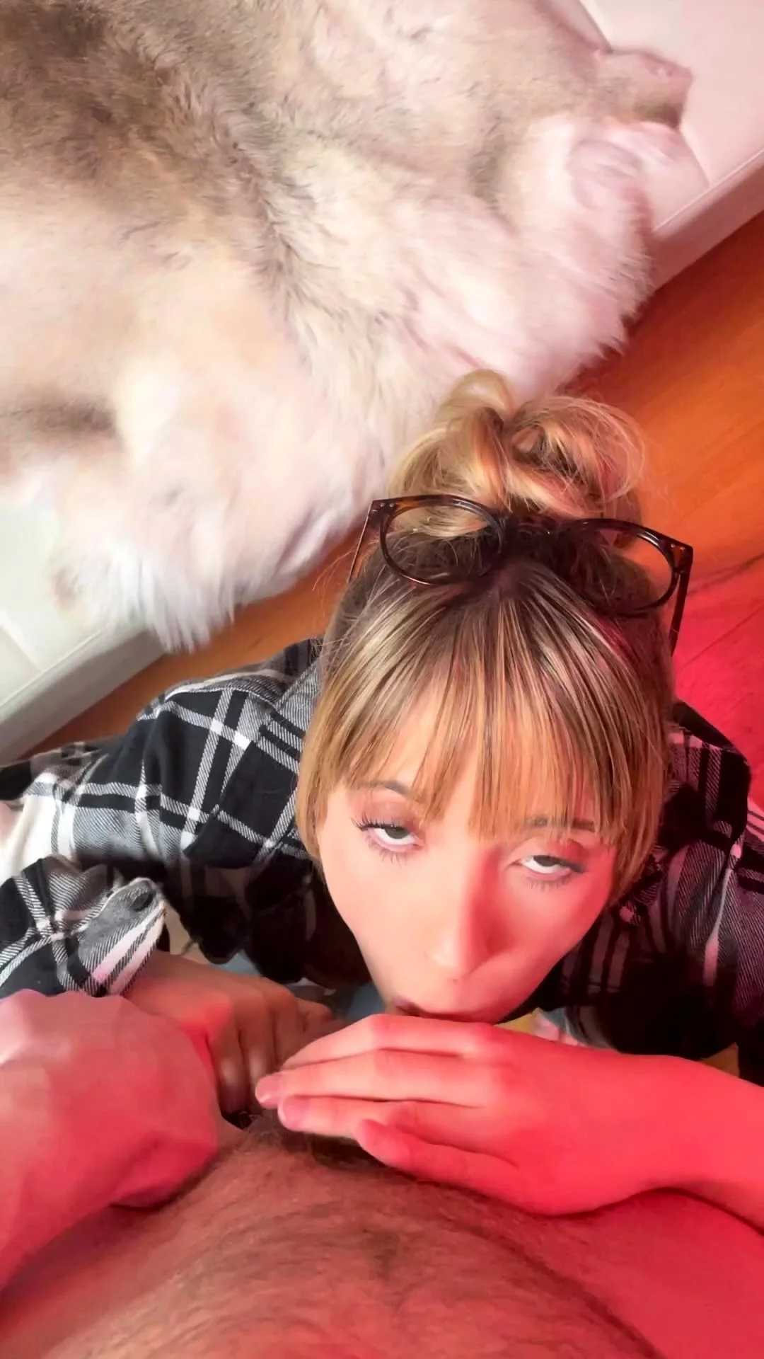 Amateur college teens blowjobs