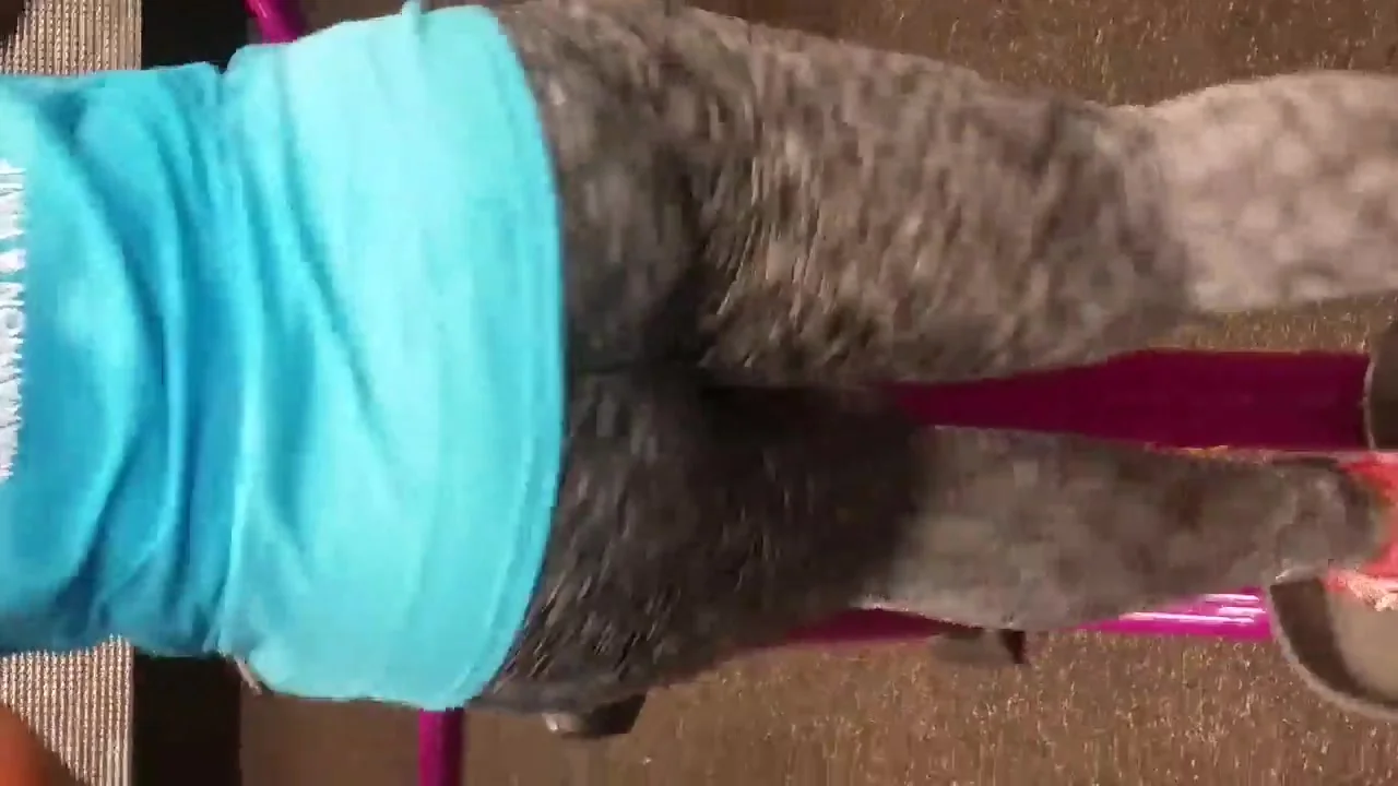 run booty run