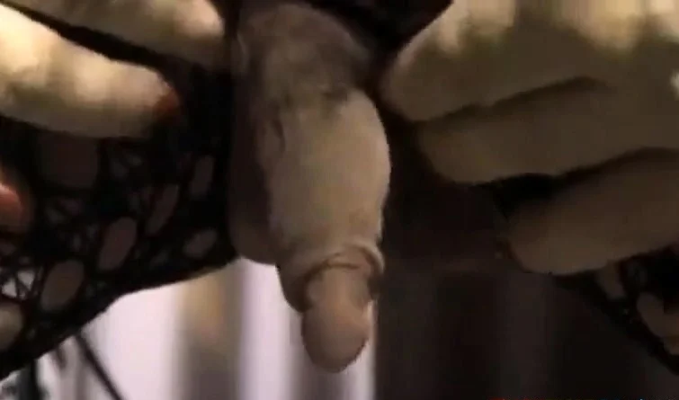 enormous erect clit