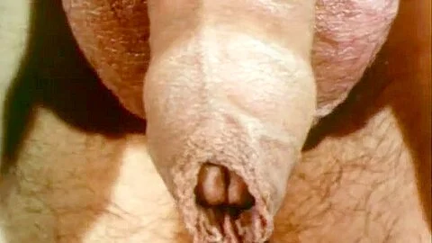 Explicit Sex Scenes from Sexual Freedom in Denmark (1970)