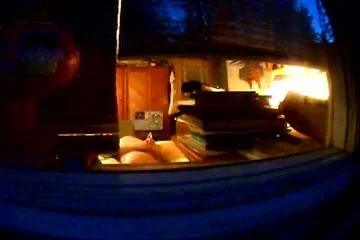 Spying through the window