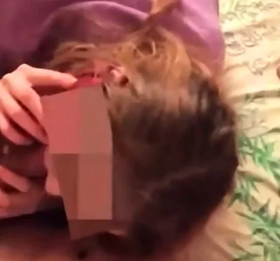 po telefonu
