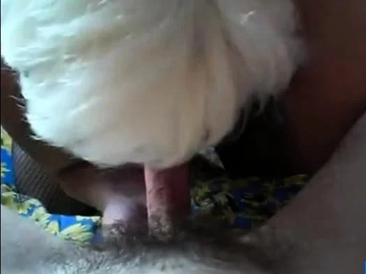 Granny blowjob