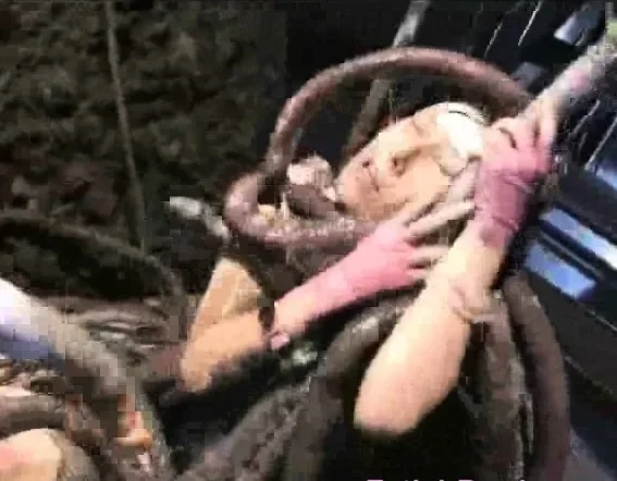 Tentacle Cumplosion!