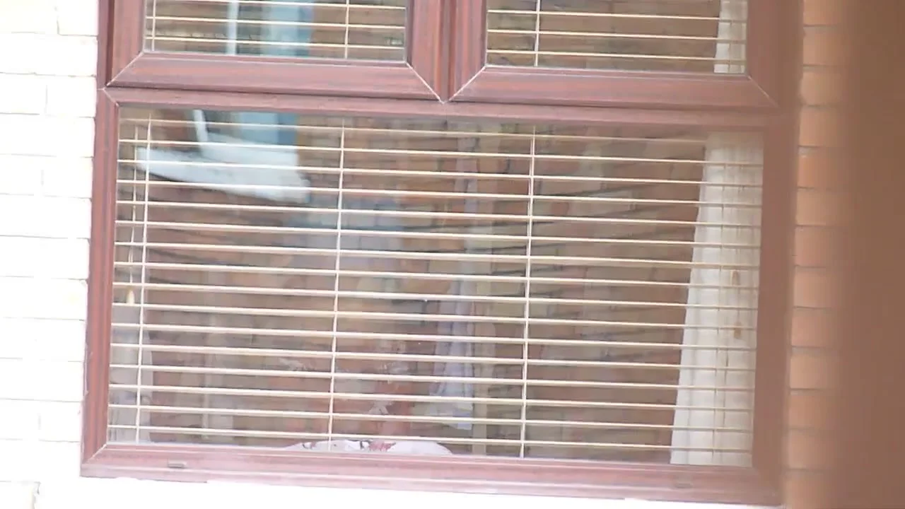 neighbour 3