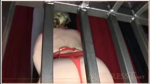 Permanent Chastity Cage