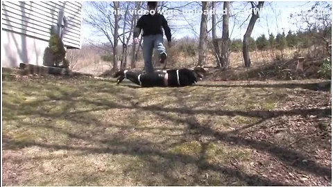Jasmine Carried Captive