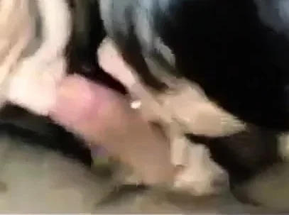 Two asian exchange students suck cock after college