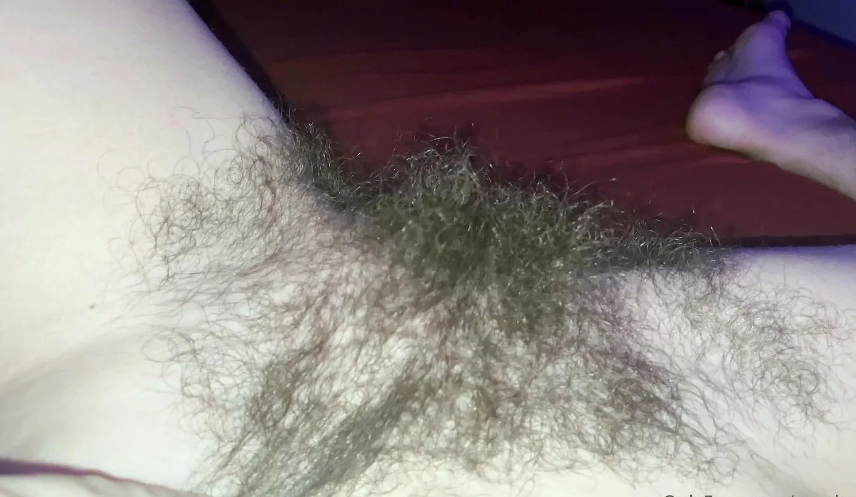 Amateur Hairy Brunette