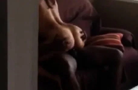 You are a fucking cheating bitch - Interracial