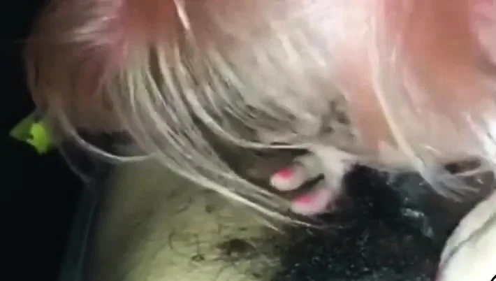 White girl throat slut give sloppy blowjob to BBC in car